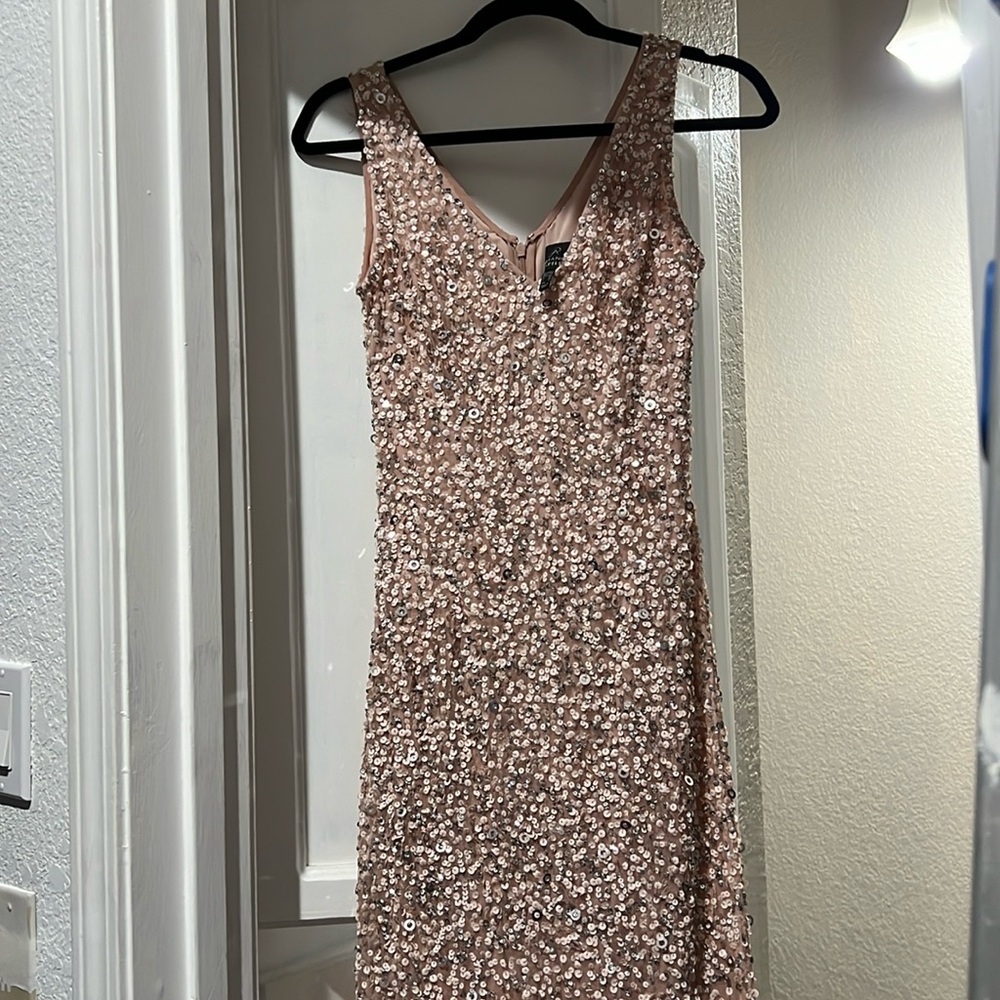 Adrianna Papell Size 2 Blush V Neckline Beaded Gown